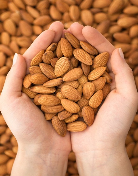 ১ কেজি প্রিমিয়াম কাঠ বাদাম (Almond) – ১০০% ভেজালমুক্ত ও পুষ্টিকর বাদাম | Best Quality